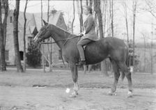 Manners, Alice G., Mrs., on horseback, between 1936 and 1942. Creator: Arnold Genthe