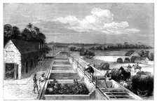 Manufacturing indigo in Tirhoot (Muzaffarpur), Lower Bengal, 1869