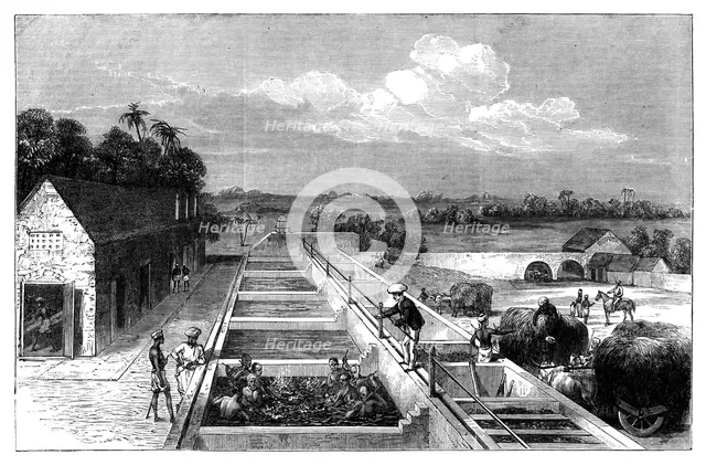 Manufacturing indigo in Tirhoot (Muzaffarpur), Lower Bengal, 1869. Artist: Unknown