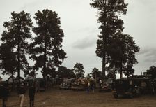 Many automobiles were parked in the grove at the Pie Town, New Mexico Fair, 1940. Creator: Russell Lee