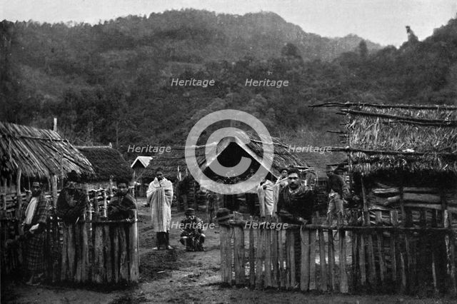 Maori pa, or fortified village, on the Whanganui River, North Island, New Zealand, 1902. Artist: Muir & Moodie.