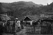 Maori pa, or fortified village, on the Whanganui River, North Island, New Zealand, 1902. Artist: Muir & Moodie
