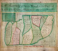 Map of Abbey Wood, part of Erith or Lesnes Manor on the eastern boundary of Woolwich, Kent, 1791. Artist: Anon