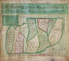 Map of Abbey Wood, part of Erith or Lesnes Manor on the eastern boundary of Woolwich, Kent, 1791. Artist: Anon