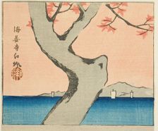 Maple Leaves at Kaian Temple (Kaianji benikaede), section of a sheet from the series "Cuto..., 1857. Creator: Ando Hiroshige