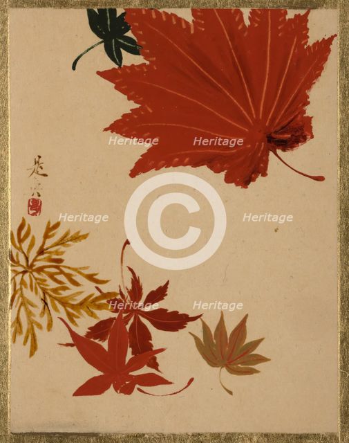 Maple Leaves. Creator: Shibata Zeshin.