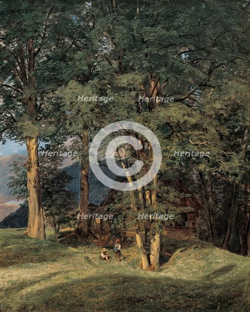 Maple trees near Ischl, 1831. Creator: Ferdinand Georg Waldmuller.