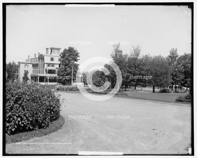 Maplewood House cottages and lawn, Maplewood, N.H., between 1900 and 1915. Creator: Unknown.