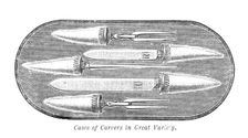 Mappin and Webb's Cases of Carvers of Great Variety, 1883. Creator: Unknown