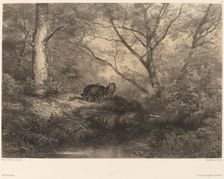 Marcassins. Creator: Karl Bodmer