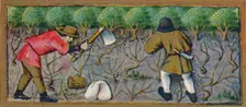 March - working in the vineyard, 15th century, (1939). Creator: Robinet Testard