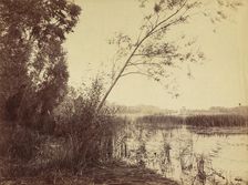 Marais de Fampoux, early 1860s. Creator: Eugène Cuvelier