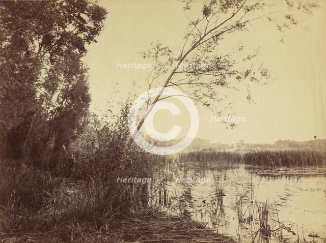 Marais de Fampoux, early 1860s. Creator: Eugène Cuvelier.