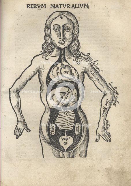 Margarita Philosophica. Anatomy, 1504. Artist: Reisch, Gregor (1467-1525)