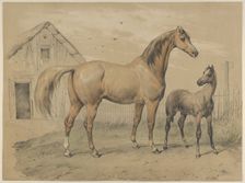 Mare and Foal, 19th century. Creator: Victor Adam