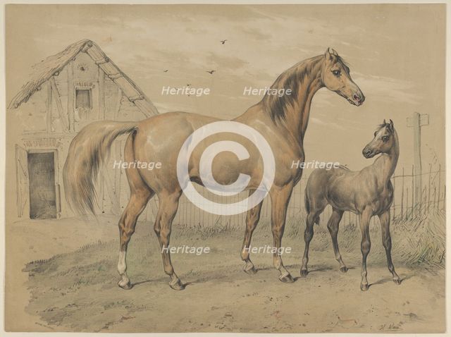 Mare and Foal, 19th century. Creator: Victor Adam.