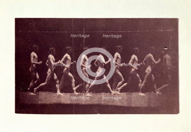 Marey Wheel Photographs of George Reynolds, 1884. Creator: Thomas Eakins.