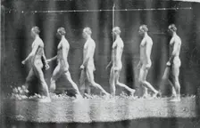 Marey Wheel Photographs of Jesse Godley, 1884. Creator: Thomas Eakins