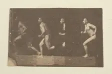 Marey Wheel Photographs of Thomas Eakins, 1884. Creator: Thomas Eakins