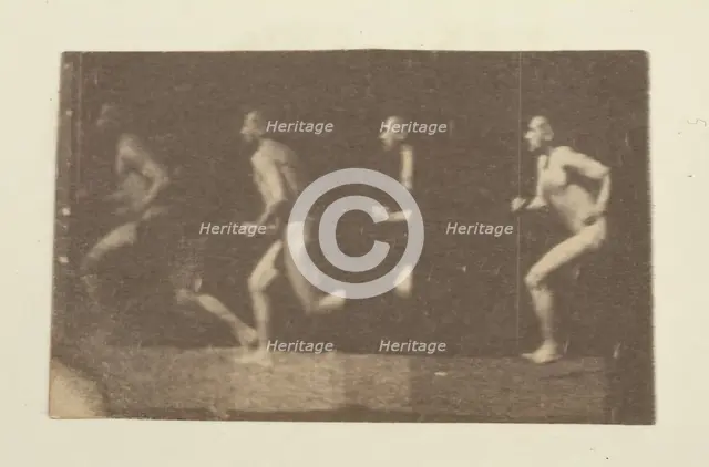 Marey Wheel Photographs of Thomas Eakins, 1884. Creator: Thomas Eakins.