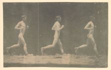 Marey Wheel Photographs of Unidentified Model, 1884. Creator: Thomas Eakins