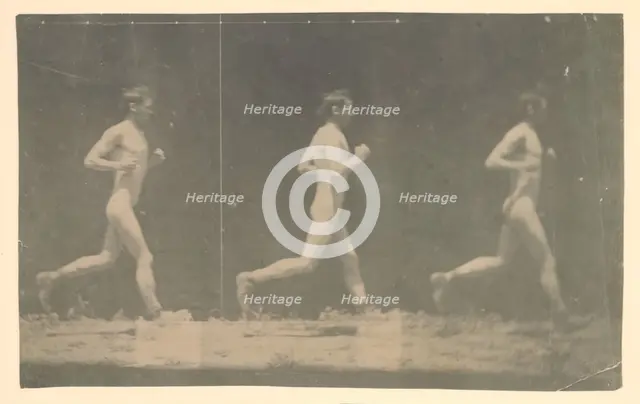 Marey Wheel Photographs of Unidentified Model, 1884. Creator: Thomas Eakins.