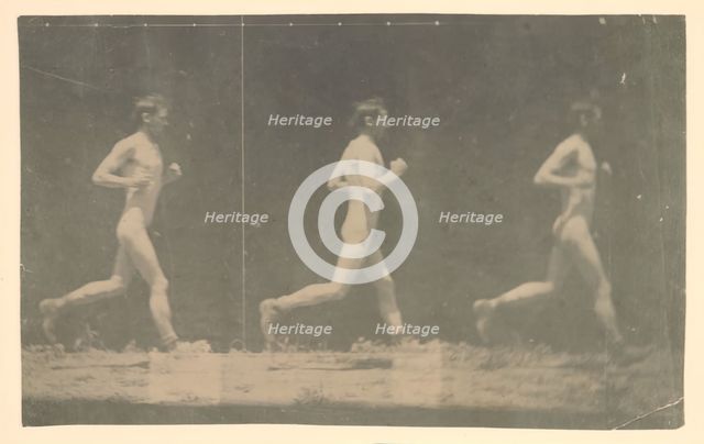 Marey Wheel Photographs of Unidentified Model, 1884. Creator: Thomas Eakins.