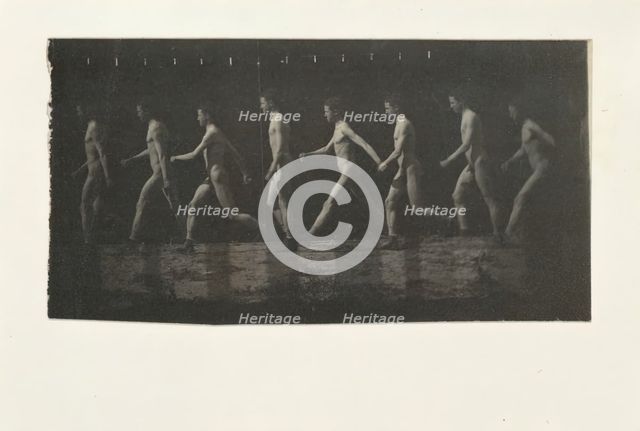 Marey Wheel Photographs of Unidentified Model, 1884. Creator: Thomas Eakins.