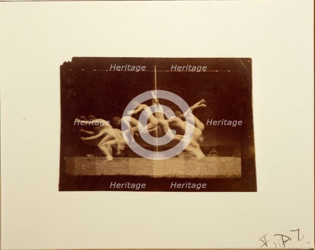 Marey Wheel Photographs of Unidentified Model, 1884. Creator: Thomas Eakins.