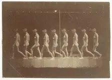 Marey Wheel Photographs of Unidentified Model, 1884. Creator: Thomas Eakins