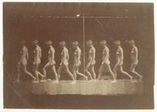 Marey Wheel Photographs of Unidentified Model, 1884. Creator: Thomas Eakins