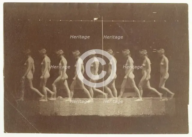 Marey Wheel Photographs of Unidentified Model, 1884. Creator: Thomas Eakins.
