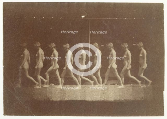 Marey Wheel Photographs of Unidentified Model, 1884. Creator: Thomas Eakins.