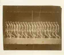 Marey Wheel Photographs of Unidentified Model, 1884. Creator: Thomas Eakins