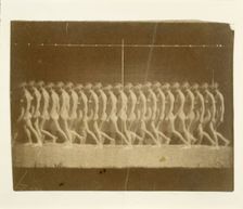 Marey Wheel Photographs of Unidentified Model, 1884. Creator: Thomas Eakins