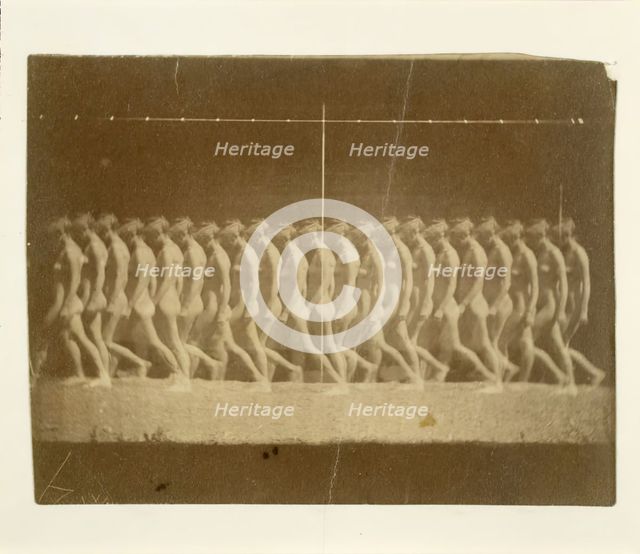 Marey Wheel Photographs of Unidentified Model, 1884. Creator: Thomas Eakins.