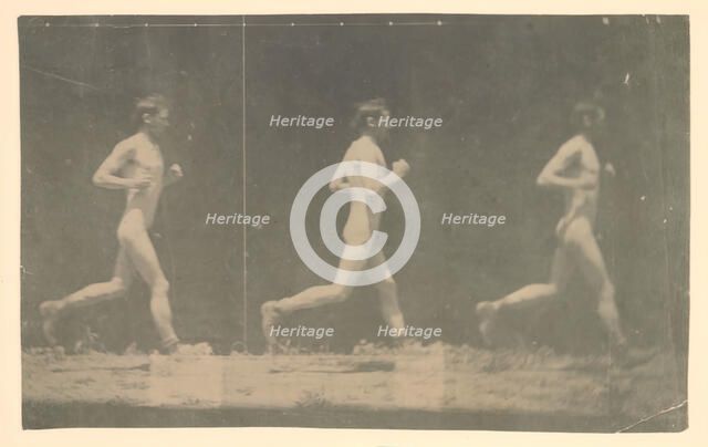 Marey Wheel Photographs of Unidentified Model, 1884. Creator: Thomas Eakins.