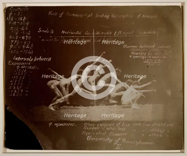 Marey Wheel Photographs of Unidentified Model, with Eadweard Muybridge Notations, 1884. Creator: Thomas Eakins.