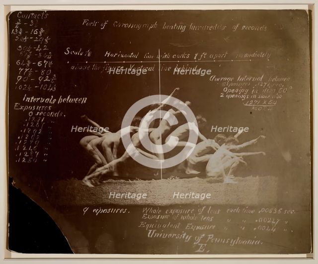 Marey Wheel Photographs of Unidentified Model, with Eadweard Muybridge Notations, 1884. Creator: Thomas Eakins.