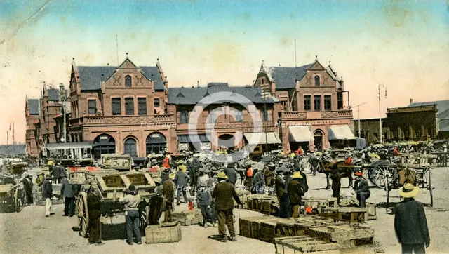 Market buildings, Johannesburg, Transvaal, South Africa, c1904.Artist: Sallo Epstein & Co