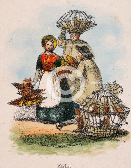 'Market', c1845. Creators: Robert Kent Thomas, Benjamin Waterhouse Hawkins.
