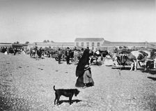 Market Day at Chillan 1911