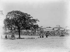 Market Day, Port-au-Prince, Hayti [sic], W.I., between 1880 and 1901. Creator: Unknown