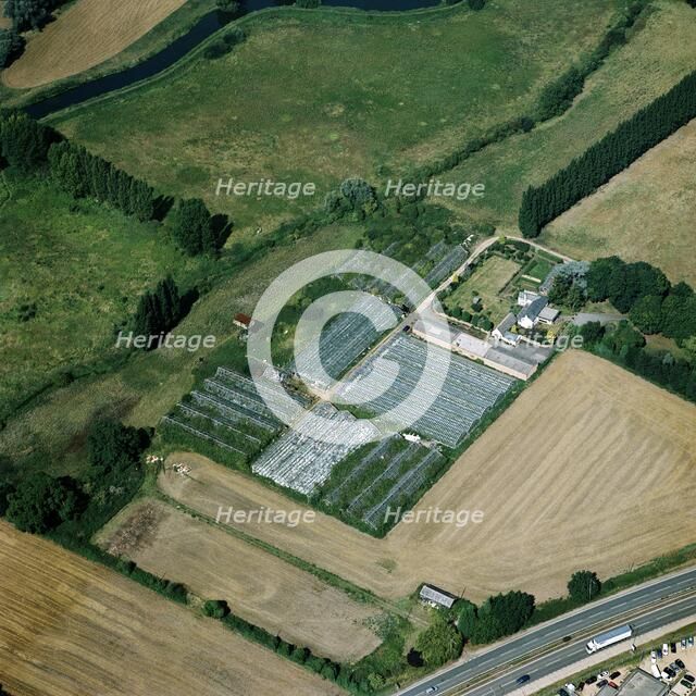 Market garden near Sandy, Bedfordshire, 2005. Artist: Unknown.