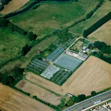 Market garden near Sandy, Bedfordshire, 2005