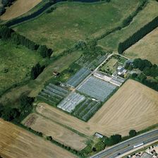 Market garden near Sandy, Bedfordshire, 2005