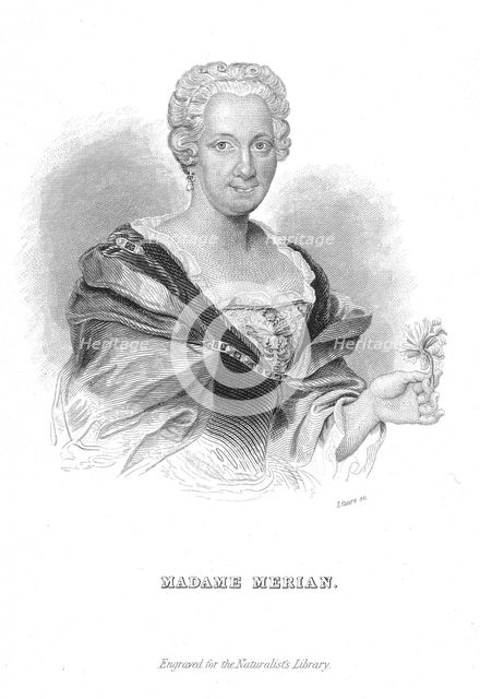 Maria Sibylla Merian, German naturalist and flower painter. Artist: William Home Lizars