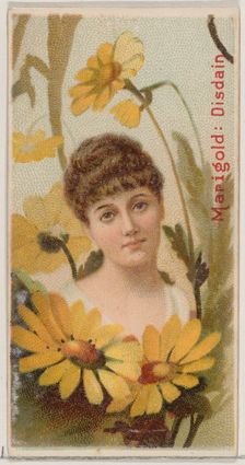 Marigold: Disdain, from the series Floral Beauties and Language of Flowers (N75) for Duke ..., 1892. Creator: Donaldson Brothers