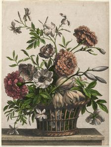 Marigolds, single Anemone, Jasmine.... Creator: Jean-Baptiste I Monnoyer (French, c. 1636-1699)