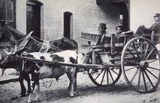 Mark Twain, American author, in the back of a horse and ox drawn cart, c1900. Creator: Unknown